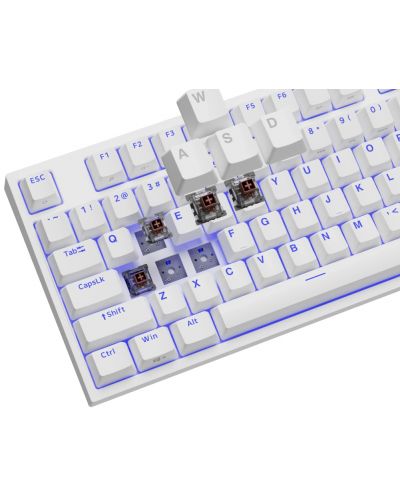 Tastatură mecanică Genesis - Thor 404 TKL, Kailh box maro, RGB, alb - 8