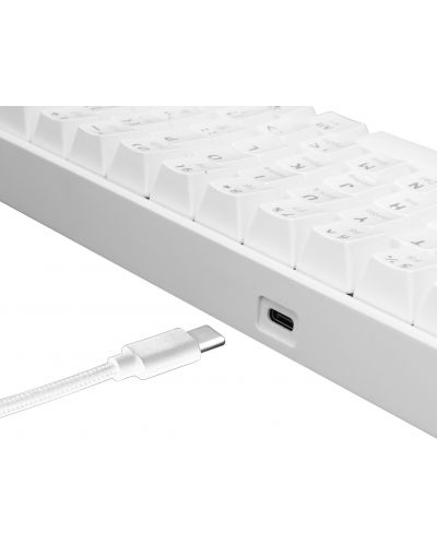 Tastatură mecanică White Shark - SHINOBI, Blue Switches, LED, alb - 4