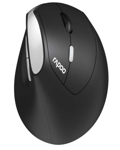 Mouse Rapoo - EV250, optic, fără fir, negru/argintiu - 1