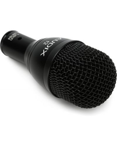 Microfon AUDIX - F2, negru - 4