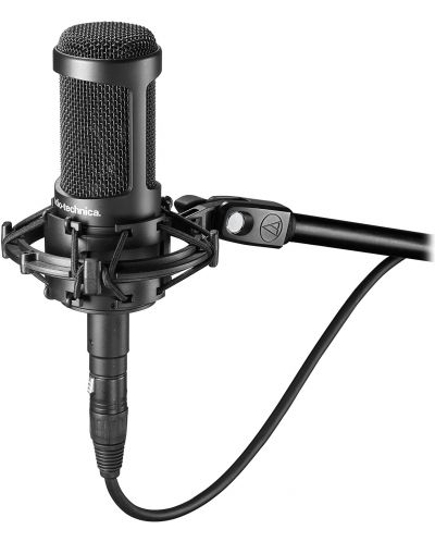 Microfon Audio-Technica - AT2050, negru - 2