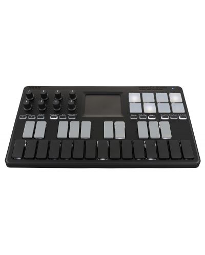 Controler MIDI Korg - nanoKEY ST, negru/gri - 2