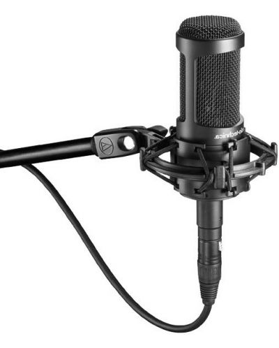 Microfon Audio-Technica - AT2050, negru - 3