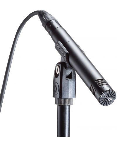 Microfon Audio-Technica - AT2031, negru - 3