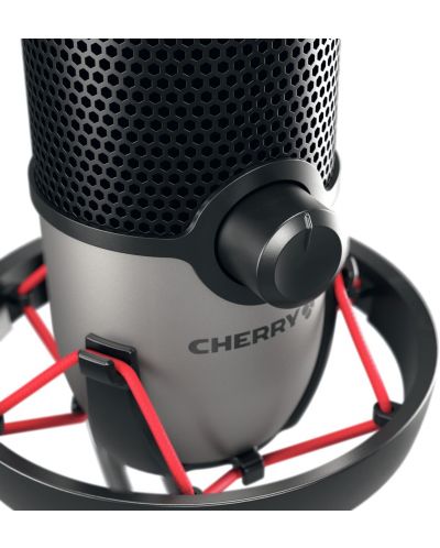 Microfon Cherry - UM 6.0 Advanced, argintiu/negru - 3
