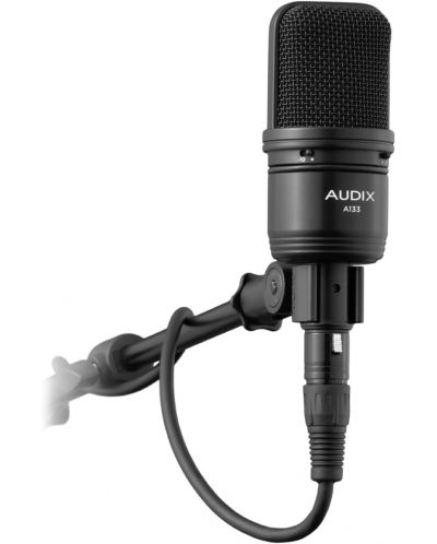 Microfon AUDIX - A133, negru - 2