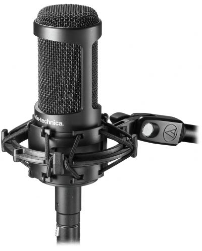 Microfon udio-Technica - AT2035, negru - 2