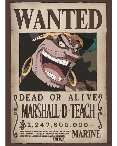 Mini poster GB eye Animation: One Piece - Blackbeard Wanted Poster - 1
