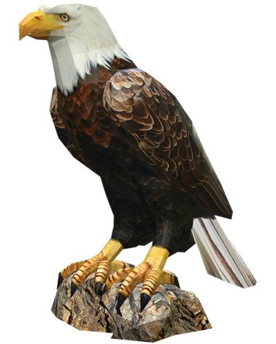 Мodel pentru asamblare din hârtie - Vultur cu cap alb, 41 x 37 cm - 1