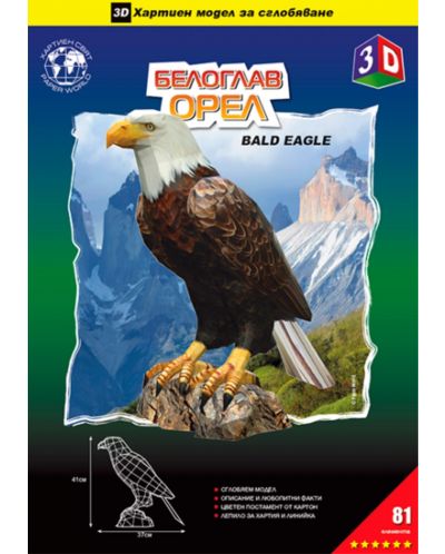 Мodel pentru asamblare din hârtie - Vultur cu cap alb, 41 x 37 cm - 3