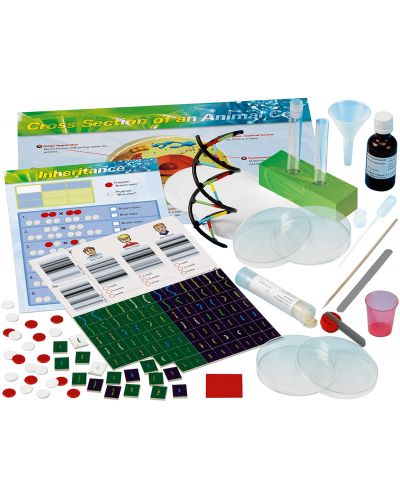 Thames & Kosmos Science Kit - Laborator pentru copii, Genetică și ADN - 2