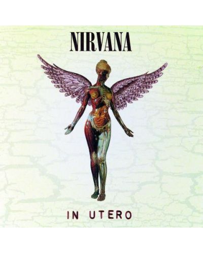 Nirvana - in Utero - 20th Anniversary Remaster (CD) - 1