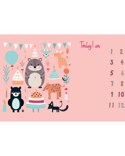 Pătură foto Milestone - Ziua de naștere, 70 x 100 cm, roz - 1