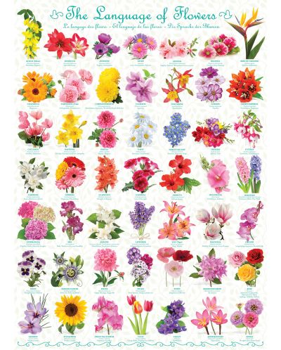 Puzzle Eurographics de 1000 piese – Limbajul florilor - 2