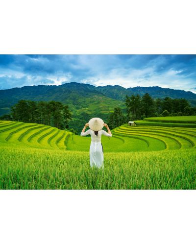 Puzzle Castorland din 1000 de piese - Câmpuri de orez în Vietnam - 2
