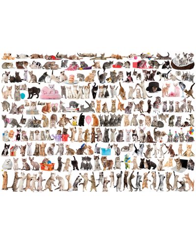 Puzzle Eurographics de 1000 piese – Lumea pisicilor - 2