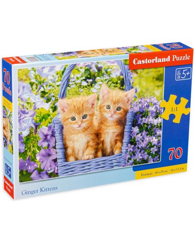 Puzzle Castorland din 70 de piese - Pisicuțe drăguțe - 1