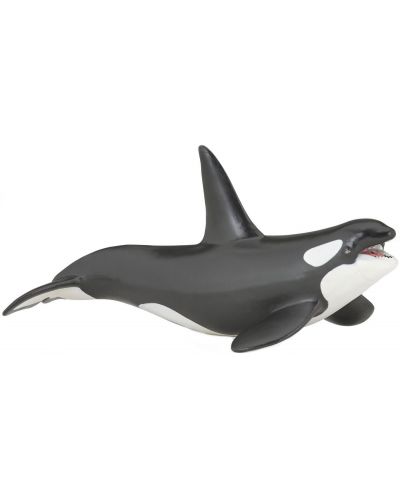 Figurina Papo Marine Life – Balena ucigasa - 1