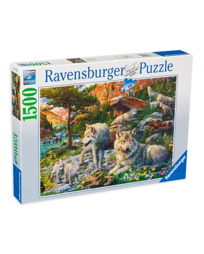 Puzzle Ravensburger de 1500 piese - Frühlingswölfe - 1