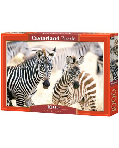 Puzzle Castorland din 1000 de piese - Pui de zebre - 1