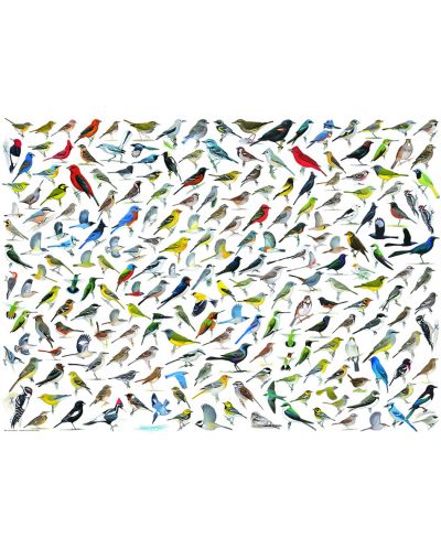 Puzzle Eurographics de 2000 piese - Lumea pasarilor, David Sibley - 2