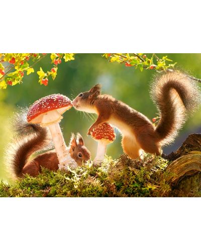 Puzzle Castorland de 260 piese - Squirrel's Forest Life - 2