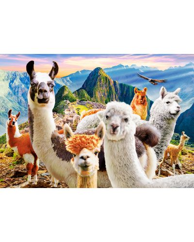 Castorland 1000 piese puzzle - Llama Selfie - 2