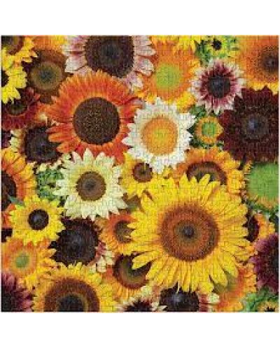 Puzzle Galison din 500 de piese - Floarea soarelui - 2