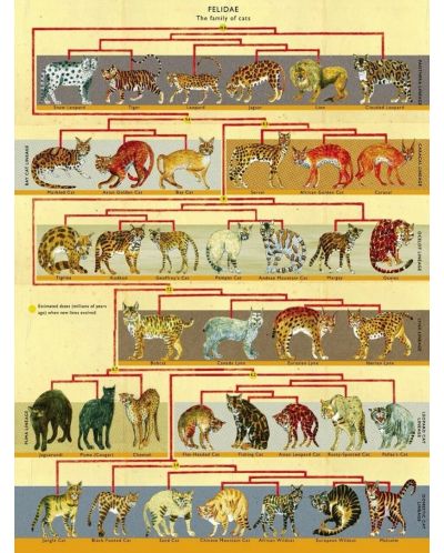 Puzzle New York Puzzle de 500 piese - Arborele genealogic al animalelor - 2