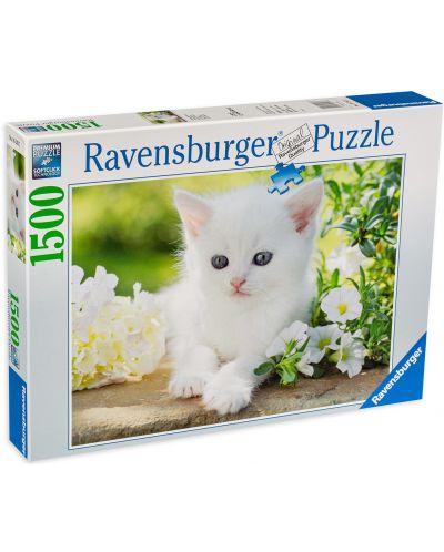 Puzzle Ravensburger de 1500 de piese - Pisoi alb - 1
