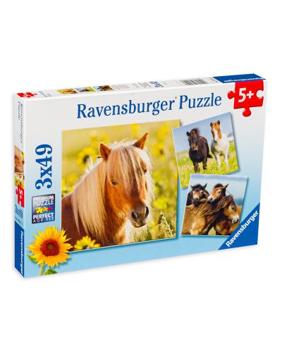 Puzzle Ravensburger de 3 x 49 piese - Cai frumosi - 1