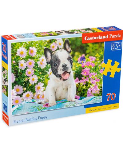 Castorland Puzzle de 70 de piese - Bulldog francez - 1
