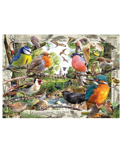 Puzzle Ravensburger 1000 de piese - Paradisul păsărilor - 2