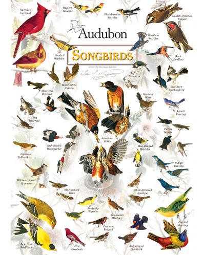 Puzzle Master Pieces de 1000 piese - Audubon Songbird - 2