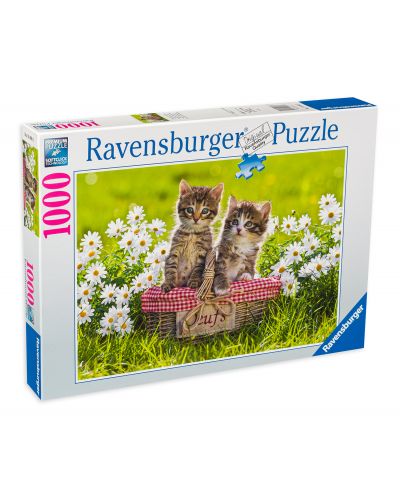 Puzzle Ravensburger de 1000 piese - Picnic in lunca - 1