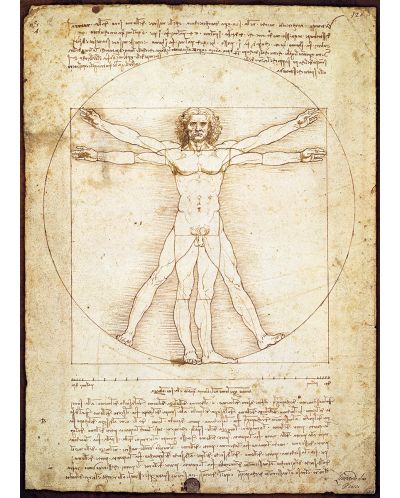 Puzzle Eurographics de 1000 piese – Omul vitruvian, Leonardo da Vinci - 2