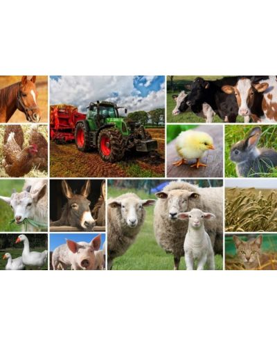 Grafika Puzzle de 1500 de piese - Animale agricole - 2
