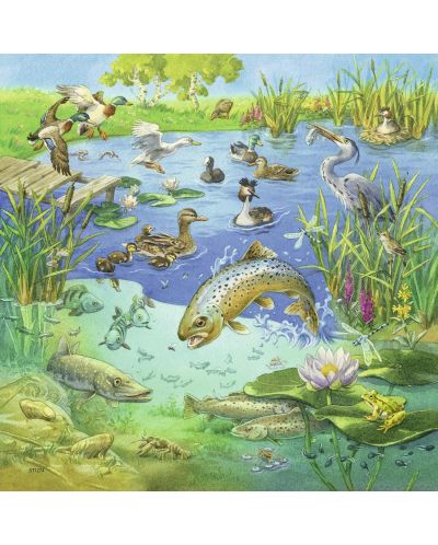 Puzzle Ravensburger de 3 de cate 49 piese - Animale in natura - 3