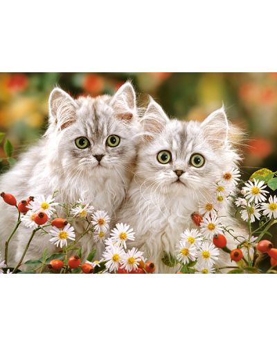 Puzzle Castorland de 200 piese - Persian Kittens - 2