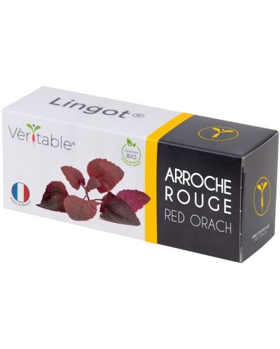 Umplutură sol Veritable - Lingot, Spanac roșu francez, fără OMG - 1