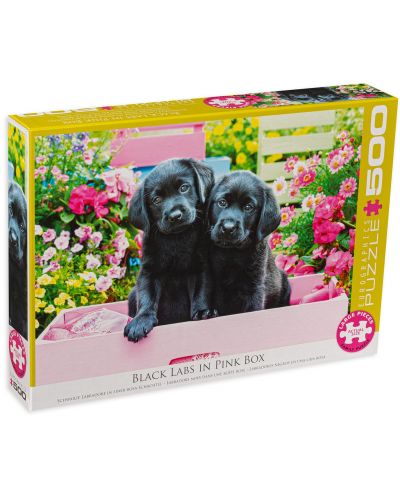 Puzzle Eurographics de 500 XXL piese - Black Labs in Pink Box - 1