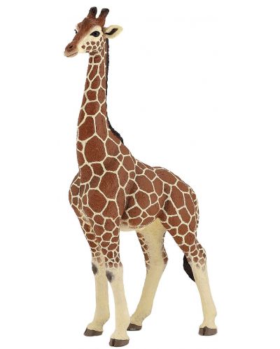 Figurina Papo Wild Animal Kingdom – Girafa mascul - 1