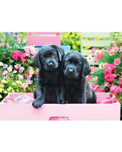 Puzzle Eurographics de 500 XXL piese - Black Labs in Pink Box - 2