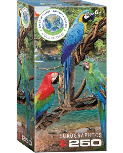 Eurographics Macaws - 1