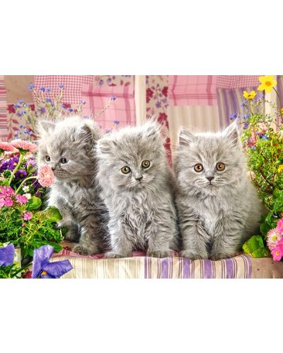 Puzzle Castorland de 260 piese - Three Grey Kittens - 2
