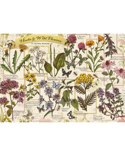 Puzzle Trefl 500 de piese - Herbarium: plante medicinale  - 2