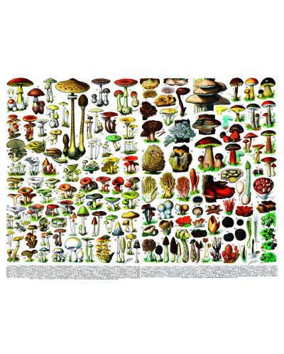 Puzzle New York Puzzle de 1000 piese - Mushrooms Champignons - 2