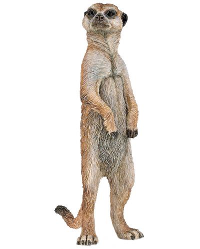 Figurina Papo Wild Animal Kingdom – Suricata - 1