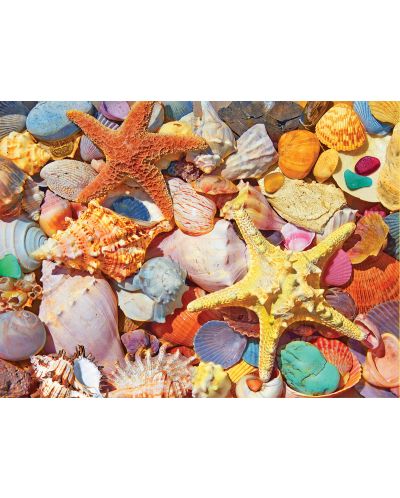 Puzzle White Mountain de 500 piese - Beach Shells - 2
