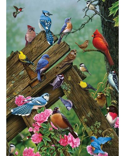 Puzzle Cobble Hill din 1000 piese - Păsări de pădure  - 2
